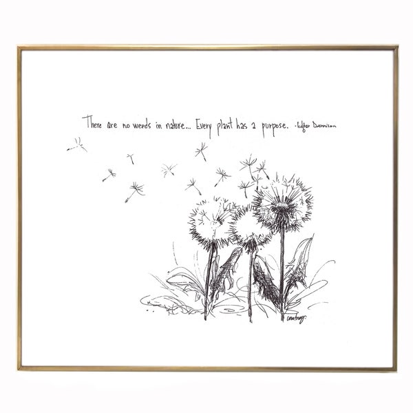 Dandelion Wildflowers "There are no weeds in nature..." 8x10 archival quality fine art paper print, a lovely gift for nature lover.