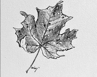 Può includere: Disegno in bianco e nero a penna e inchiostro di una foglia d'acero. La foglia è dettagliata con linee e trame complesse. Sotto la foglia è scritta la citazione "There is a crack in everything, that's how the light gets in" di Leonard Cohen.