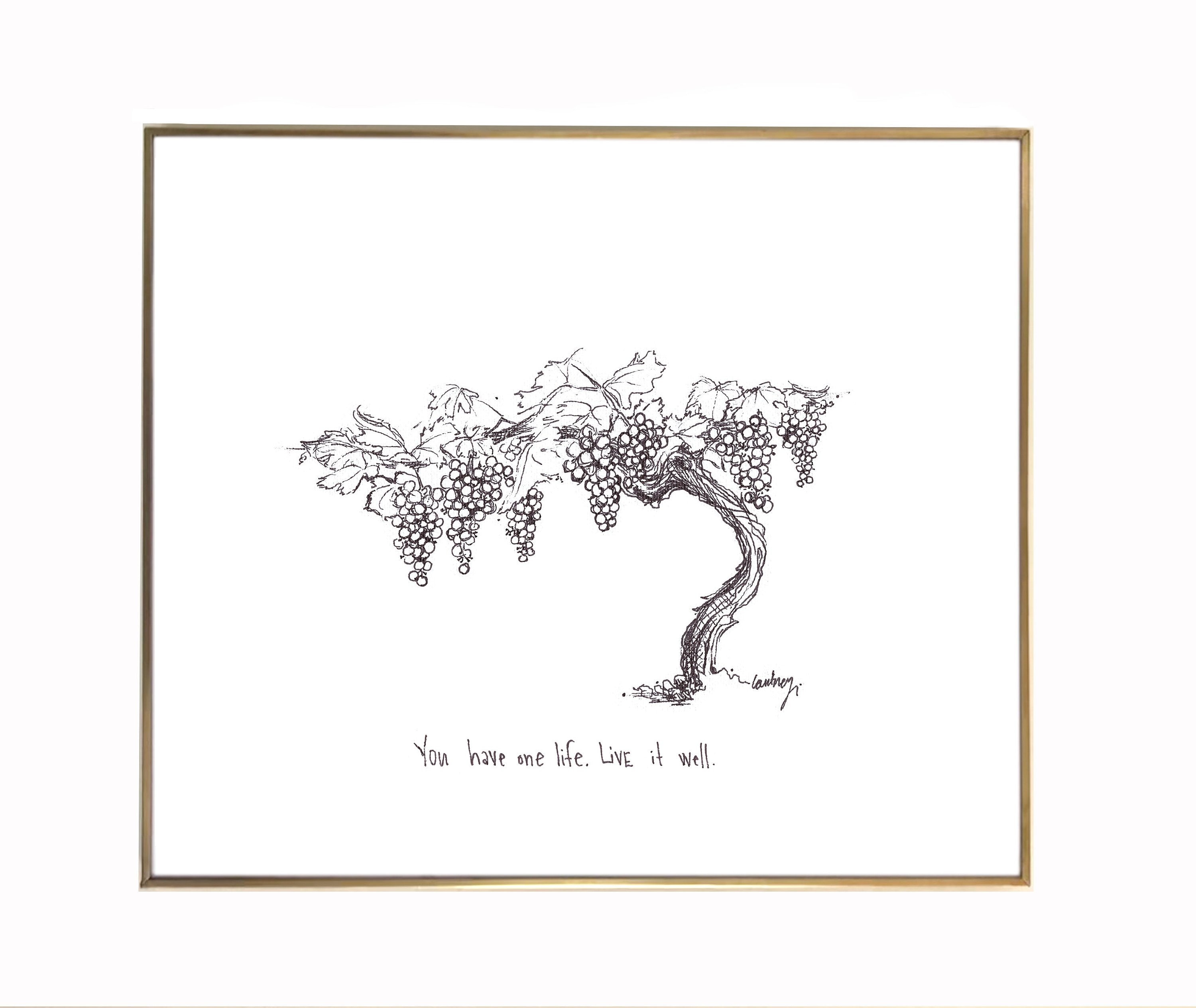 価格は安く Grape Vine  ミュージック
