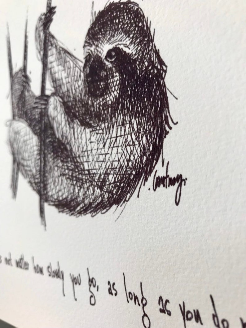 Three-toed Sloth "It doesn't matter how slowly you go, as long as you do not stop." 8x10 archival quality fine art paper print. bild 3