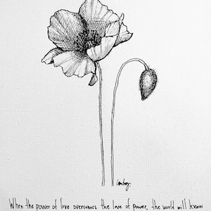 Fleur et bouton de pavot « Quand l’amour du pouvoir l’emportera sur le pouvoir de l’amour, le monde connaîtra la paix. » Impression papier d’art de qualité archivistique