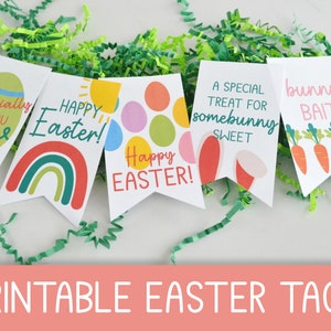 Easter Tag Printable Kids, Easter Basket Tag, Easter Cookie Tag, Easter Gift Tag, Instant Download, Favor Tags, Classroom School Gift Tag