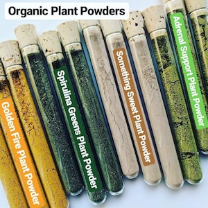 Organic Plant Powders, Nutritional Supplement, Vegan, Health & Wellness, Seasoning Mix, Spices, SAMPLES!