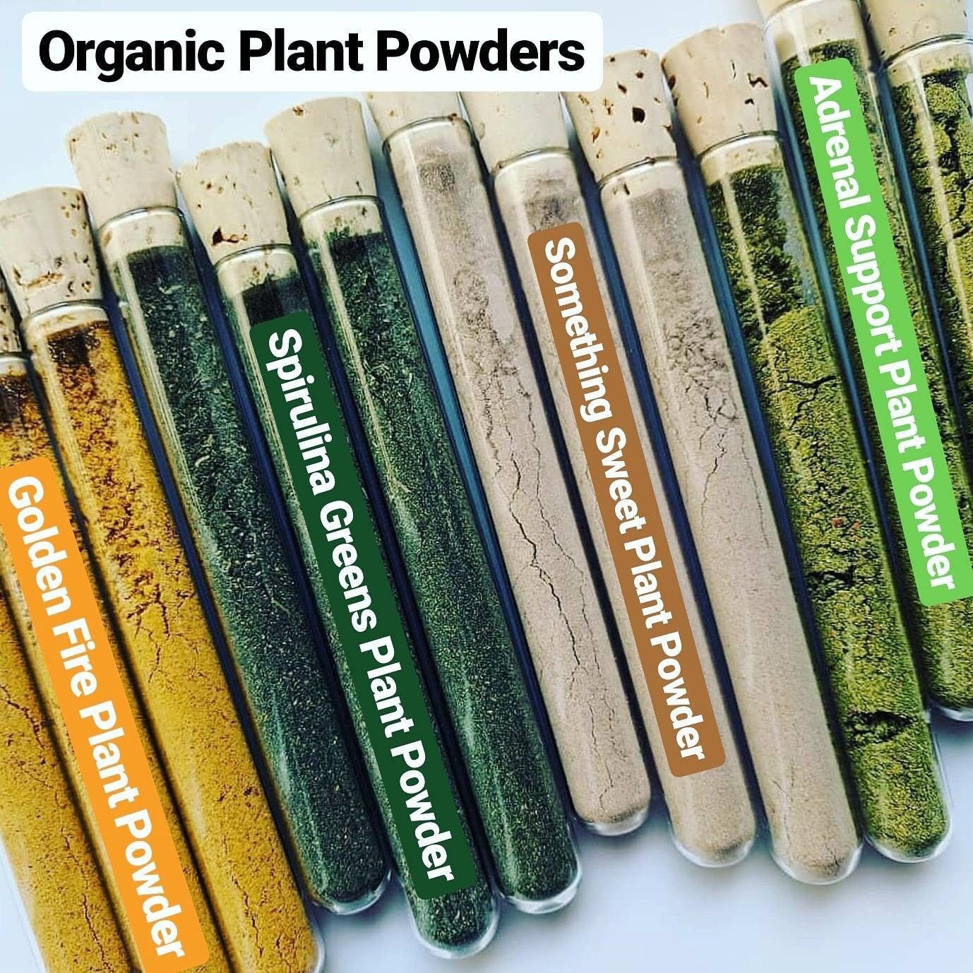 Organic Plant Powders, Nutritional Supplement, Vegan, Health & Wellness, Seasoning Mix, Spices, SAMPLES!