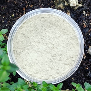 Organic Face Mask, Kelp & Thyme Mask, Clay Face Mask, Acne Blemishes, Blackheads, Vegan Cosmetics, Cruelty-Free Beauty!