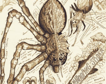 Whooping Spider Cryptid Spider: Fantasy Bestiary Print