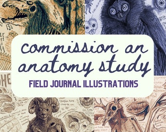 Custom Creature Field Journal Illustration