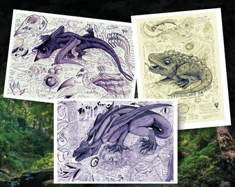 Dragon Anatomy Study Drawings & Prints - LARP Monster Journal