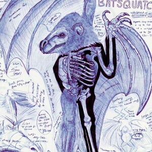 Cryptid Print | Batsquatch: Cryptozoology Field Guide Art