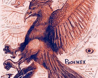 Fantasy Print | Phoenix Mythology Field Guide Art