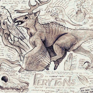 Fantasy Print | Peryton Mythology Field Guide Art