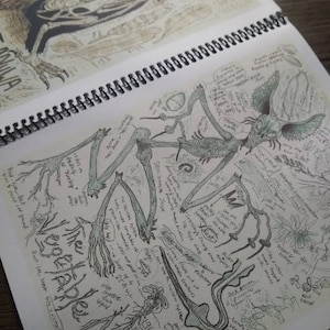 Cryptid Field Art Sketchbook & Complete Collection Volumes 1 4 Flipbook West Virginia, Appalachia, and Legendary Creatures image 3