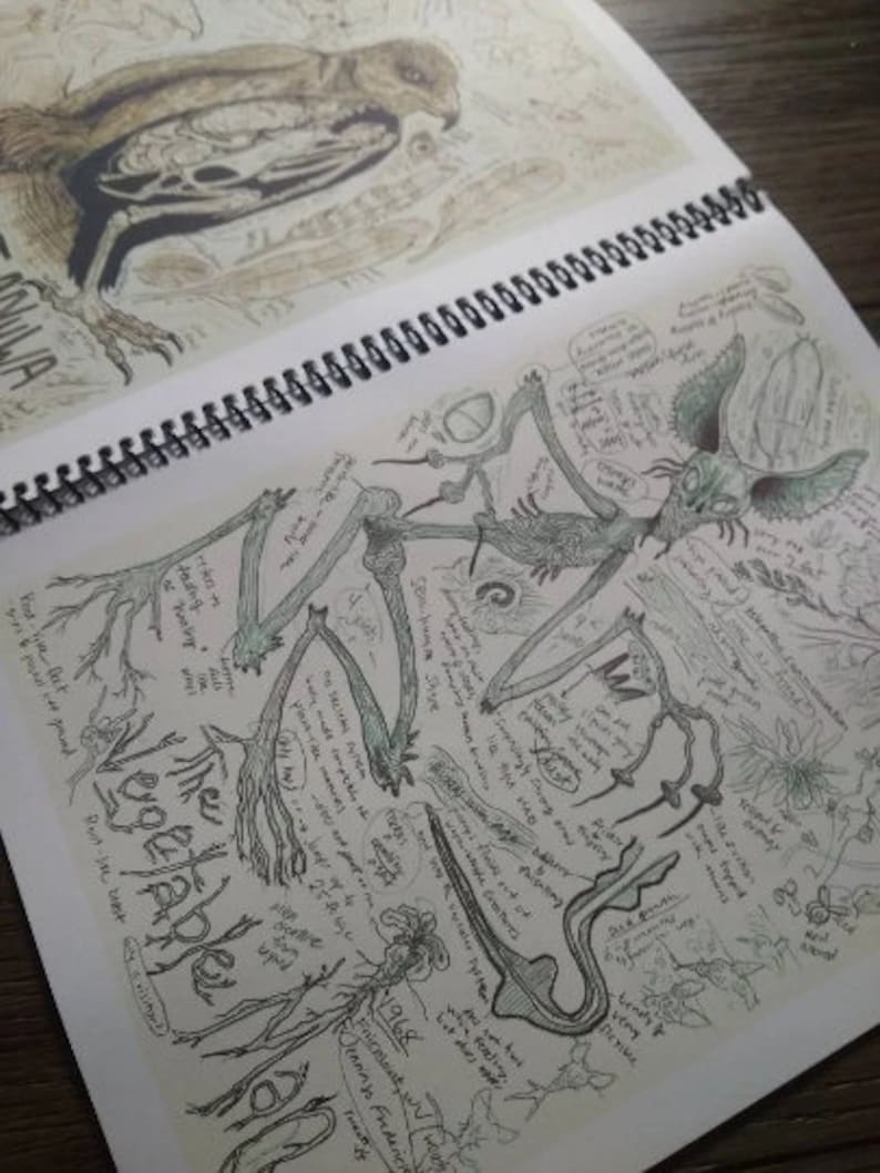 Cryptid Field Art Sketchbook & Complete Collection Volumes 1 4 Flipbook West Virginia, Appalachia, and Legendary Creatures image 3