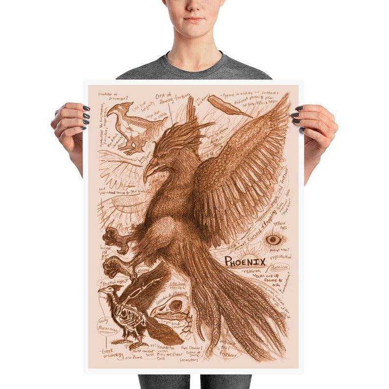 Phoenix Mythical Creature Anatomy Study Print Etsy