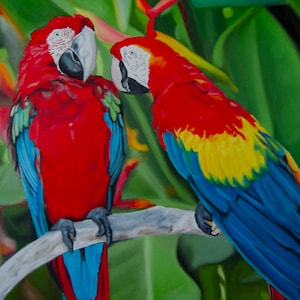 Two Parrots, Bird Painting, Bird Portrait, Original Oil on Canvas Art,  Wild Animal, Realism, Certificate attached, 15,7 x 23,6 in