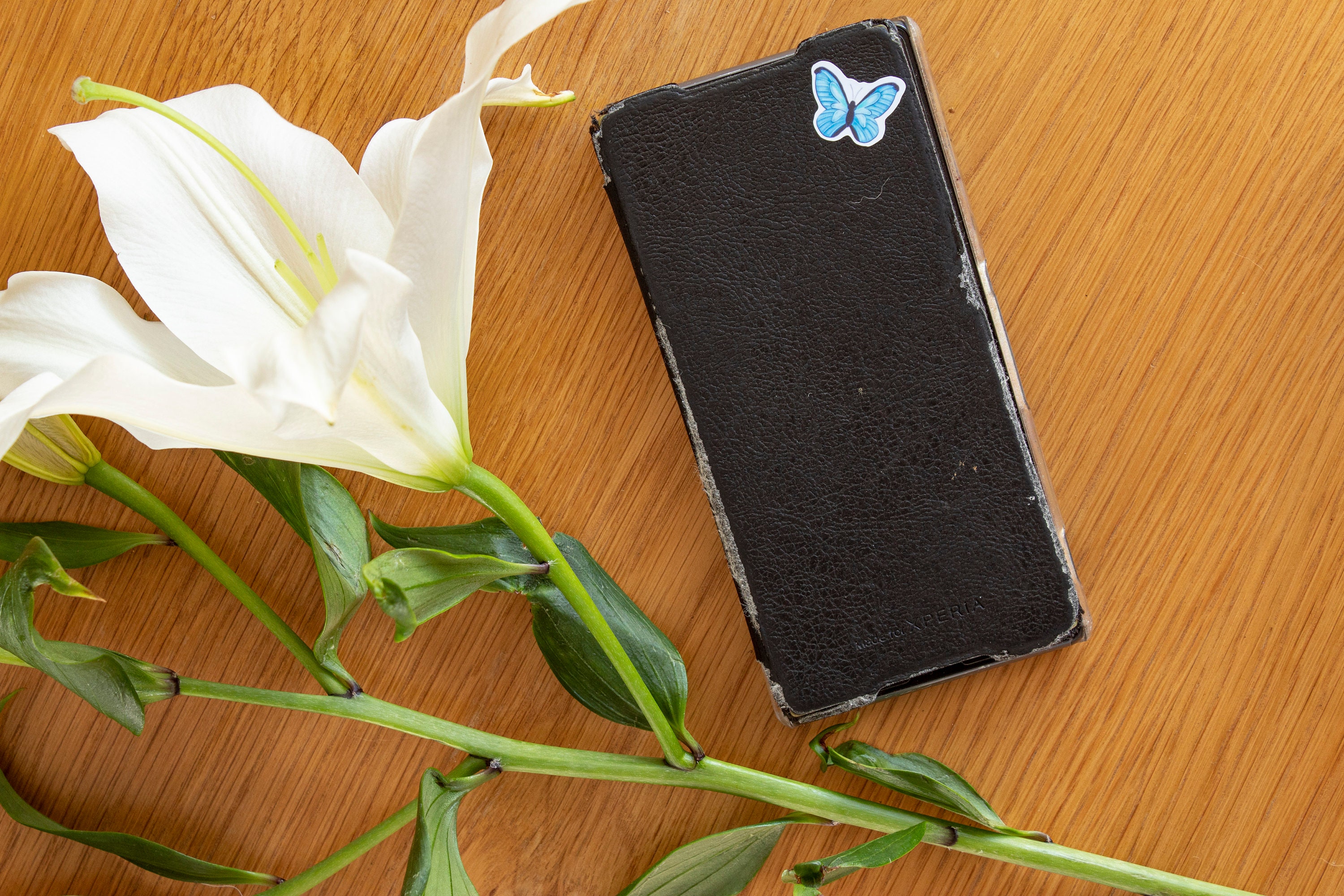 Flick Bug off Animal Crossing Stickers Etsy UK