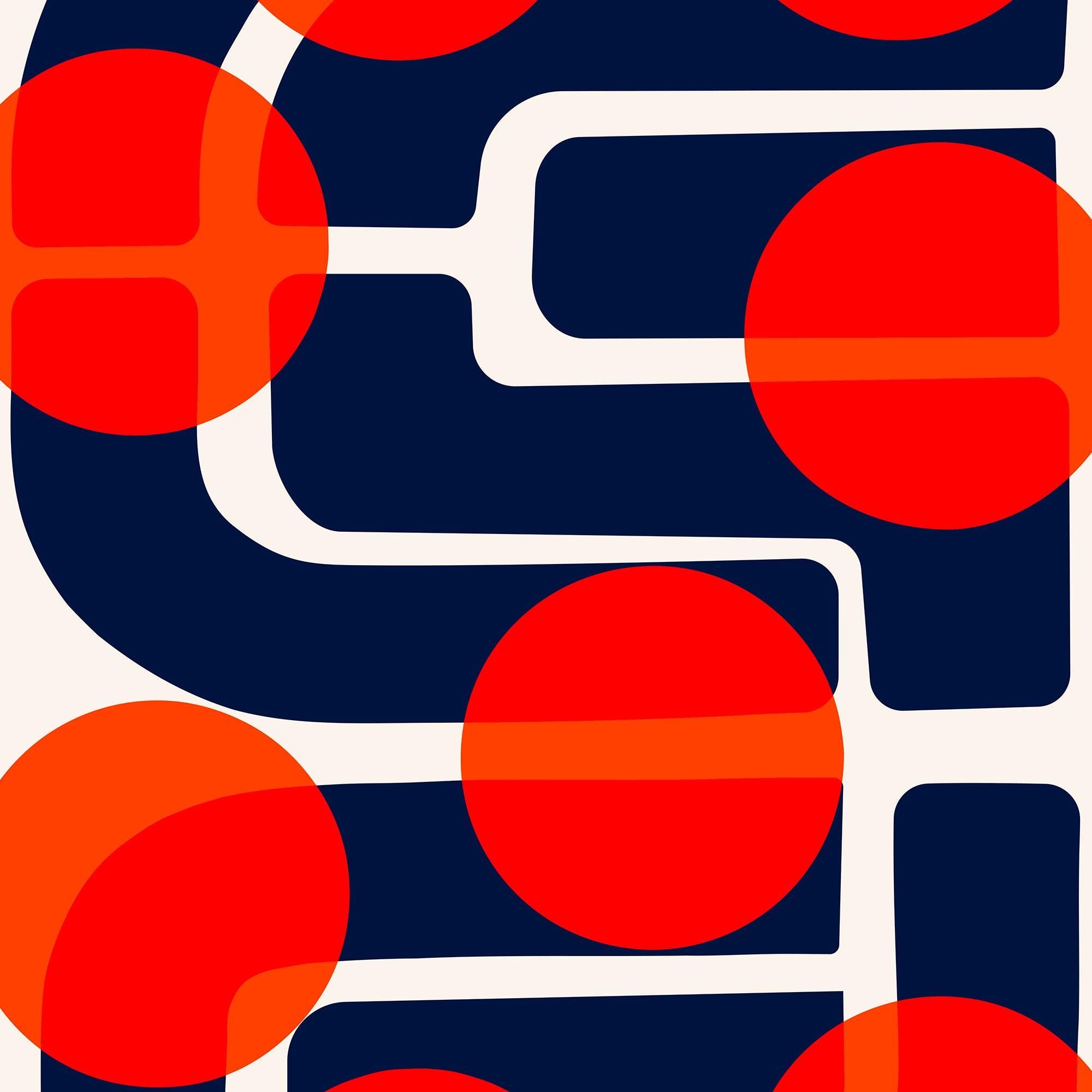 71j+TlWsPwL._UF894,1000_QL80_.jpg