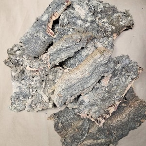 May include: A pile of natural cork bark pieces, with a rough, textured surface and a light brown color. The bark is irregularly shaped and has a variety of sizes.