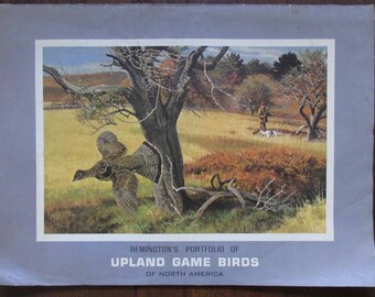 Remington's Portfolio of Upland Game Birds of North America. From The Game Art Collection of The Remington Arms Company, Inc.