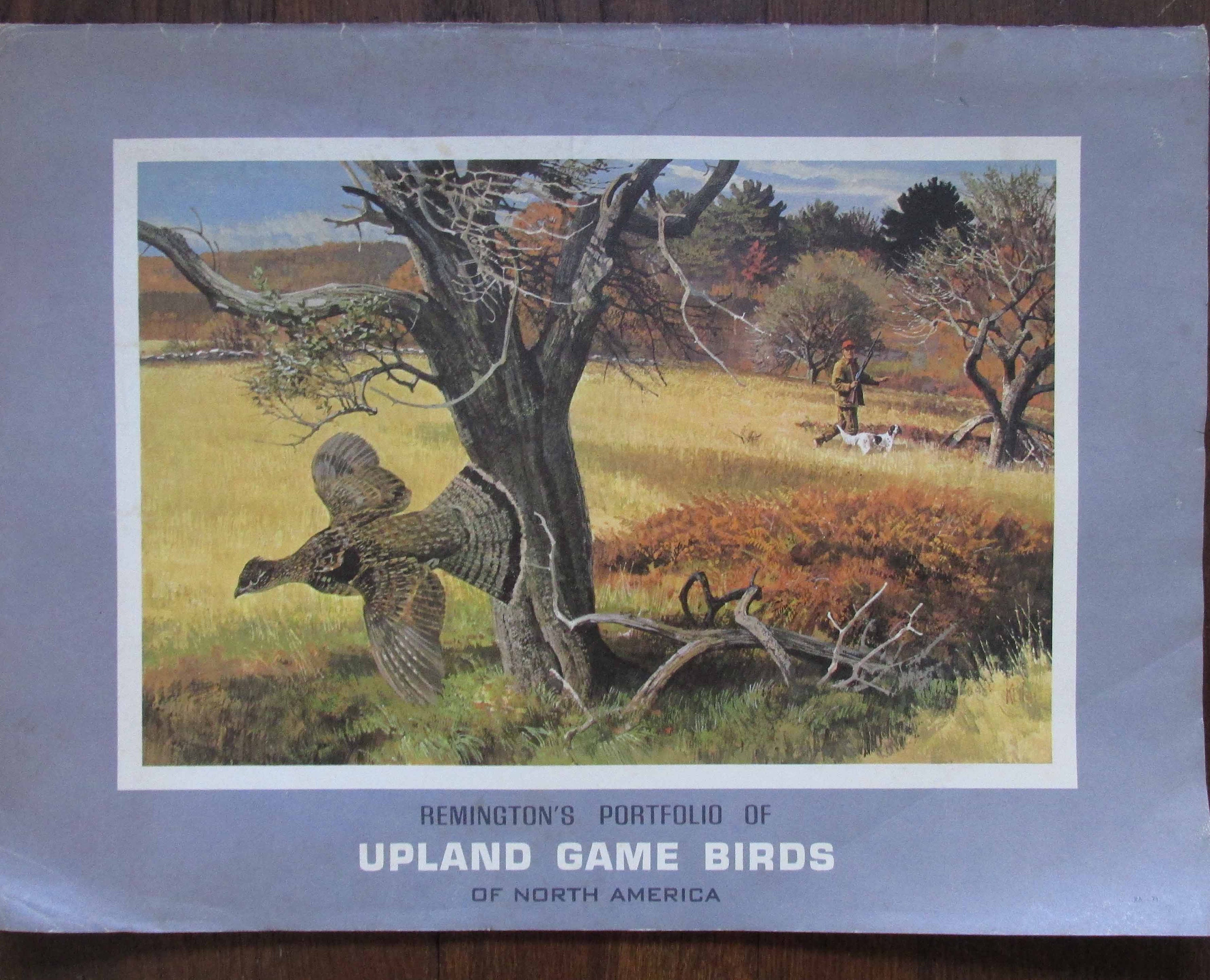 Remington's Portfolio of Upland Game Birds of North America. From the Game  Art Collection of the Remington Arms Company, Inc. - Etsy