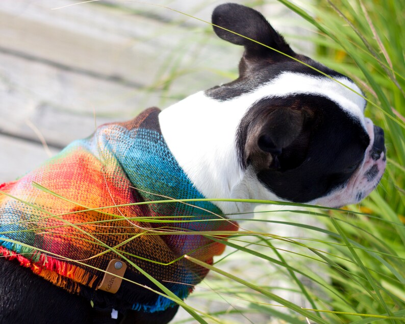 Plaid Dog Bandana South West Scarves for Dogs Personalized Etsy