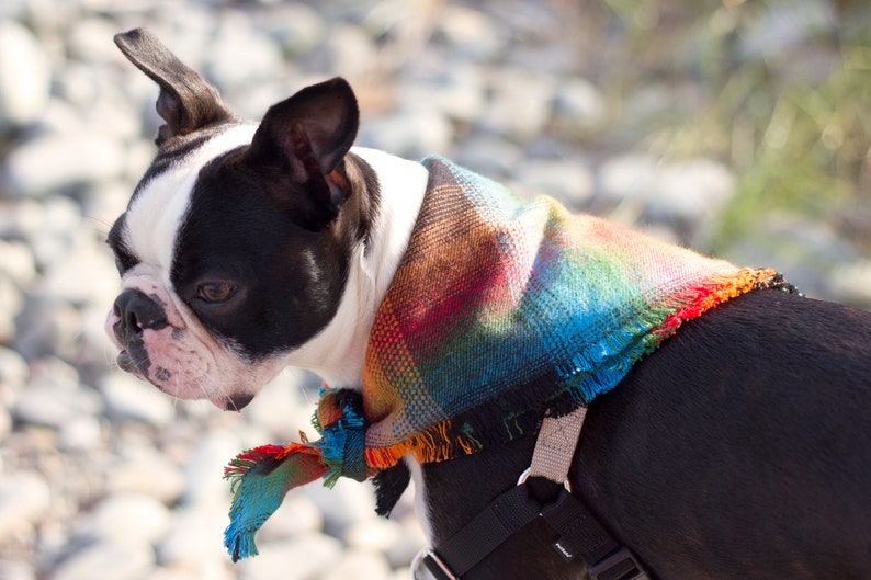 Plaid Dog Bandana South West Scarves for Dogs Personalized Etsy