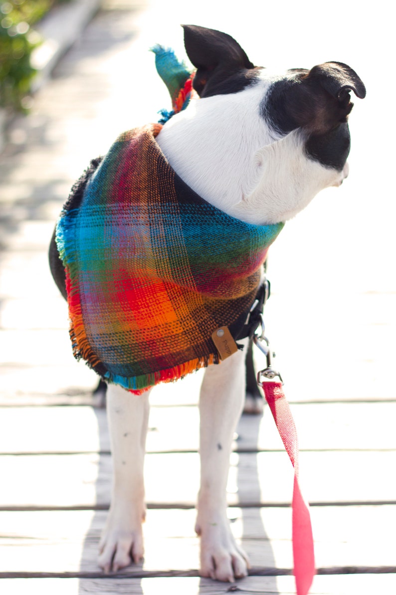 Plaid Dog Bandana South West Scarves for Dogs Personalized Etsy