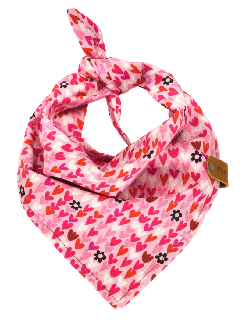 Custom Valentine Gift Girl Pets Pretty Girly Doggie Pink Red Violet Puppy Scarf Hearts Valentine/'s Dog Bandana Heart Love Neckerchief