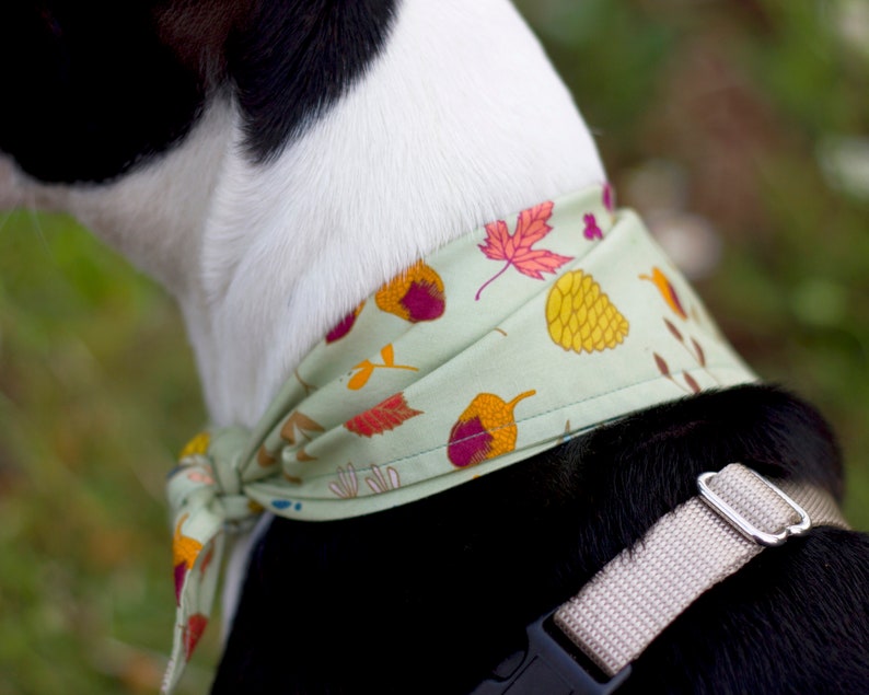 Gift for Dogs Personalized Fall Dog Scarf Green Scarves Doggy Forest Floor Doggie Kerchief Woodland Puppy Bandannas Autumn Pet Bandana