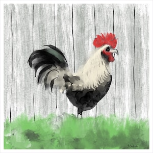 May include: Watercolor painting of a rooster with a red comb and wattle, black and white feathers, and a white chest. The rooster stands on green grass in front of a gray wooden fence. Signed "J. Cordia" in the bottom right corner.