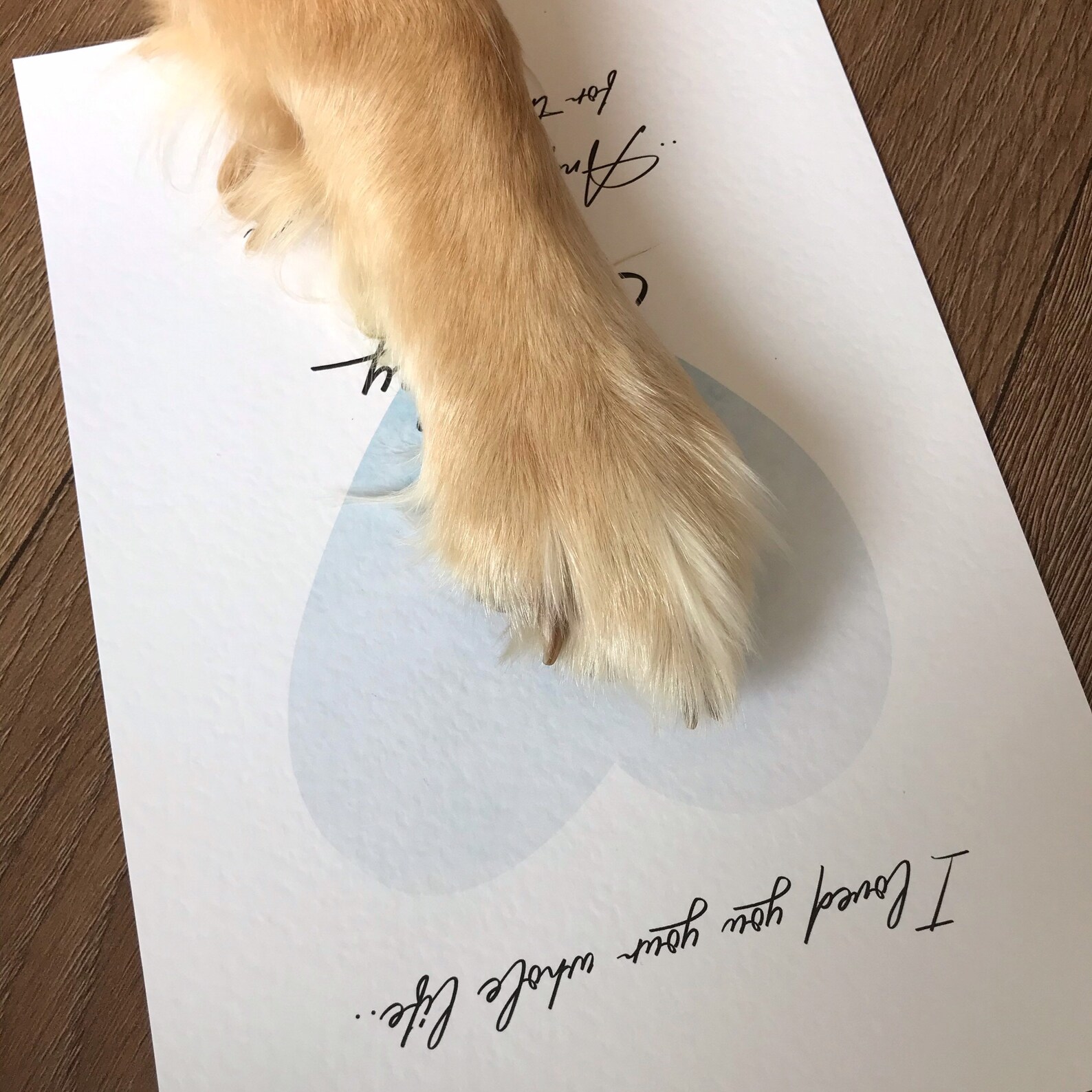 Personalised Memorial Dog Paw Print Kit Puppy Gift Keepsake Etsy UK