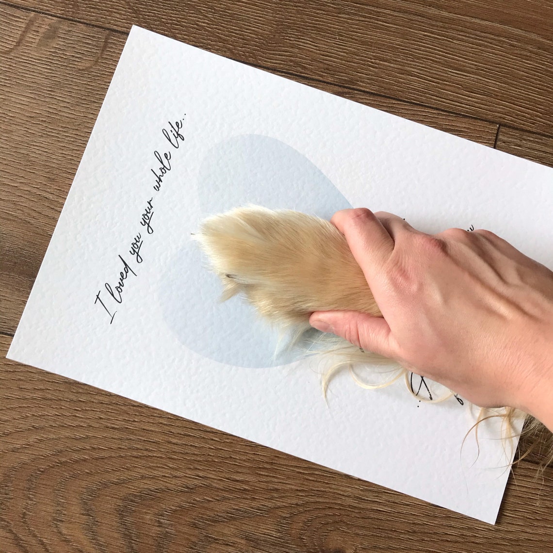 Personalised Memorial Dog Paw Print Kit Puppy Gift Keepsake Etsy UK