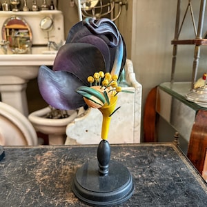 Modello botanico Monnikskap Brendel-stijl