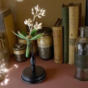 Può includere: Una composizione floreale decorativa con un fiore bianco e foglie verdi, montata su un supporto nero. Una bottiglia di vetro trasparente con una fascia metallica decorativa è accanto alla composizione. Libri e barattoli antichi sono sullo sfondo.