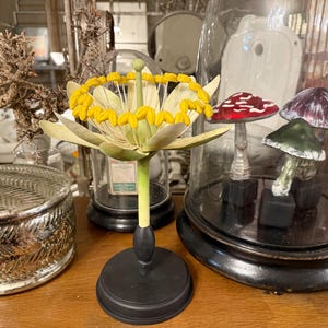 Peut inclure: Une sculpture florale décorative avec un design jaune et vert, montée sur une base noire. Une cloche en verre présente trois figurines de champignons. Une boîte argentée avec couvercle est également présente.