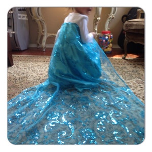 Reopened!! Disney: Frozen inspired Elsa Costume Princess Dress