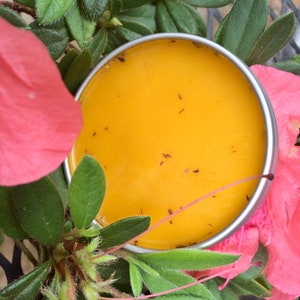 Anxiety & Stress Relief Mood Stabilizing Skin Salve