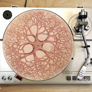 May include: A white turntable with a red and white tree-like design on the platter. The turntable has a silver tone arm and a black needle. The turntable is labelled "KENWOOD" and has buttons for "SPEED", "REPEAT", "CUT", and "PLAY".