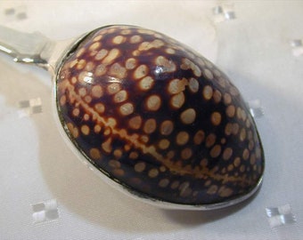 Cowrie Shell Spoon Rare Georgian Sterling Silver Date 1817 Quality Antique