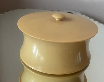 French ivory container