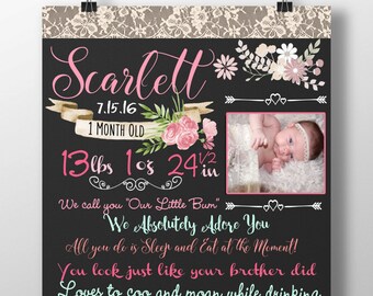 month by month milestone sign for baby girl, monthly milestone sign, vintage monthly milestones for newborn, classy custom baby MLEVIN01