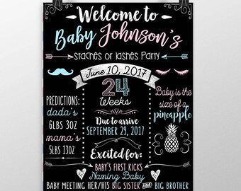 Gender reveal party decor, top baby shower theme, stashes or lashes party decor, baby shower sign, modern gender reveal baby shower SGNSho02