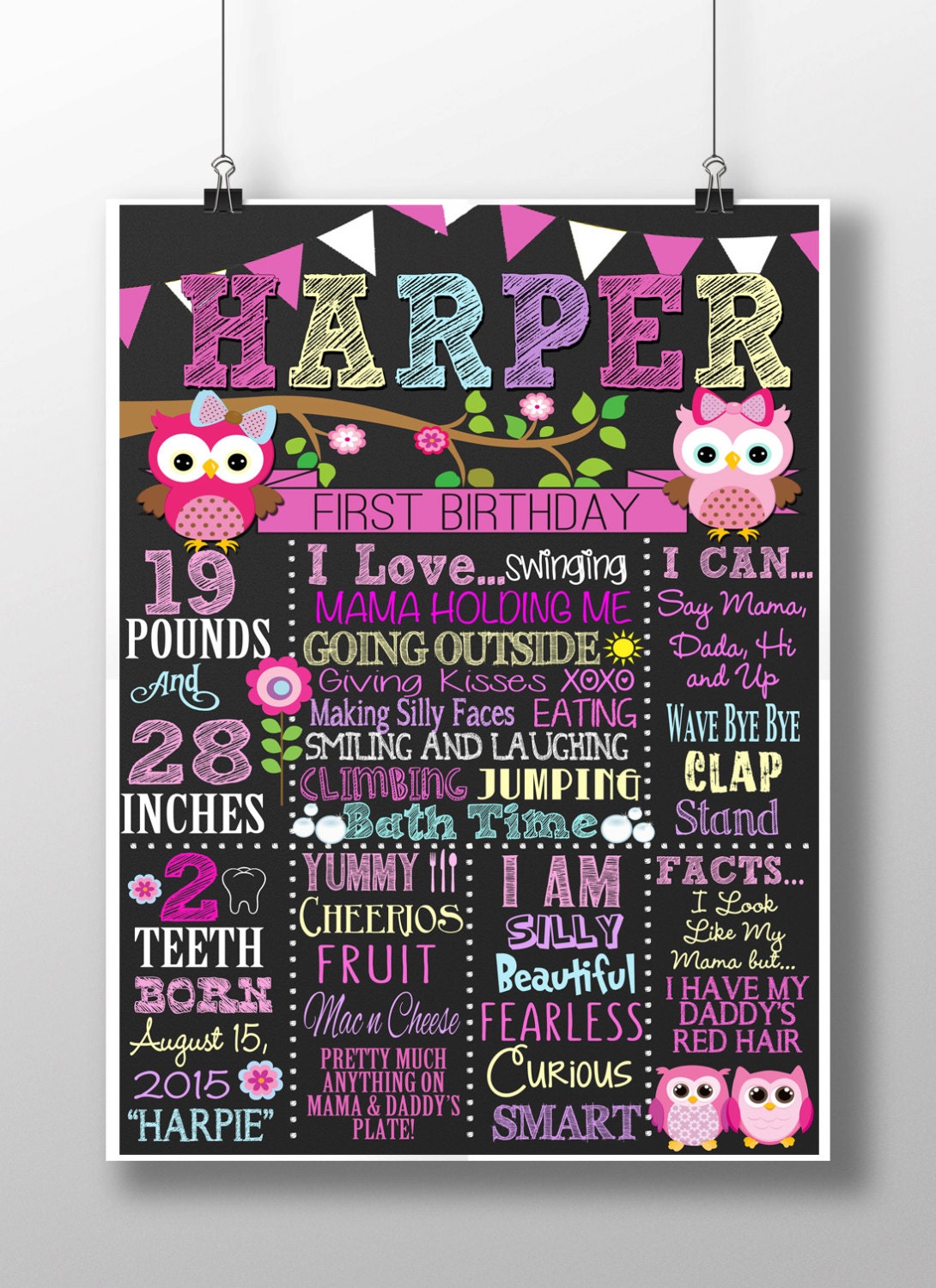 Owl birthday, owl 1st bday decor, custom owl birthday party signs, girls owl chalkboard styled birth
