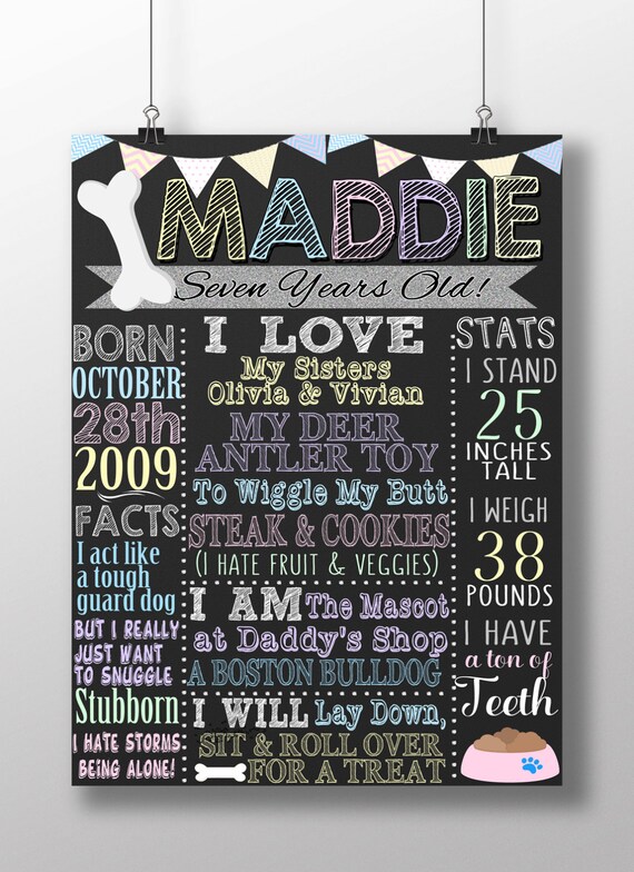 Dog birthday board, dog photo prop, pet birthday gift, custom pet gift, custom animal gift, pet birthday party decorations, BRDANL03