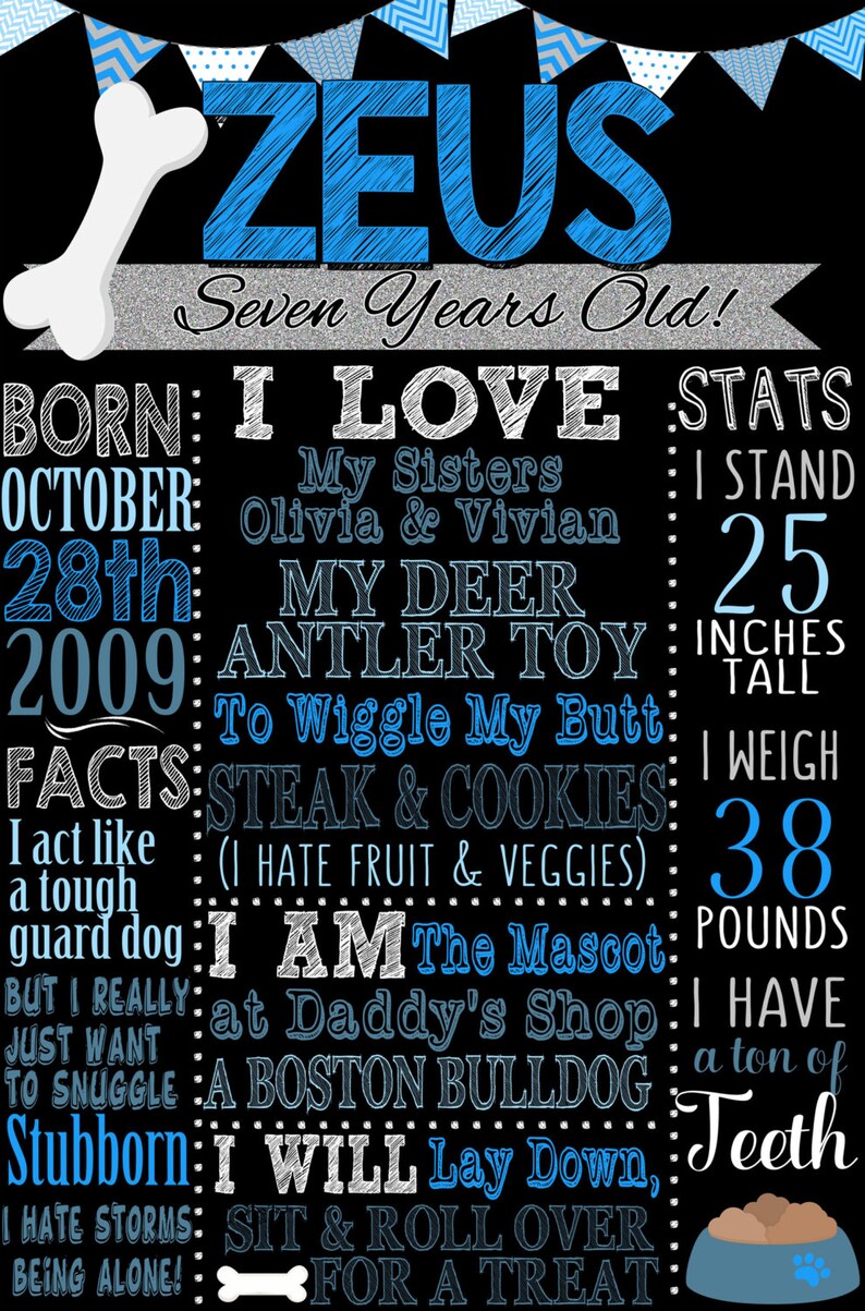 May include: A black and white chalkboard style sign with blue and white accents. The sign says "Zeus Seven Years Old!" and includes information about the dog's birthday, favorite things, and stats. The sign features a bone graphic and a dog bowl.