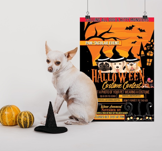 Cat Halloween Party Invite Dog Halloween Costume Contest Pet 