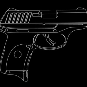 Zeer gedetailleerde Ruger EC9s 9 mm