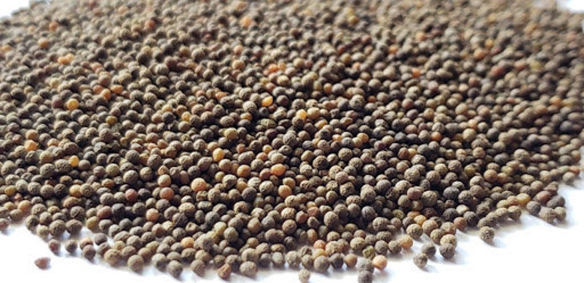 50 California Poppy Seeds Free Shipping Eschscholzia Etsy Canada