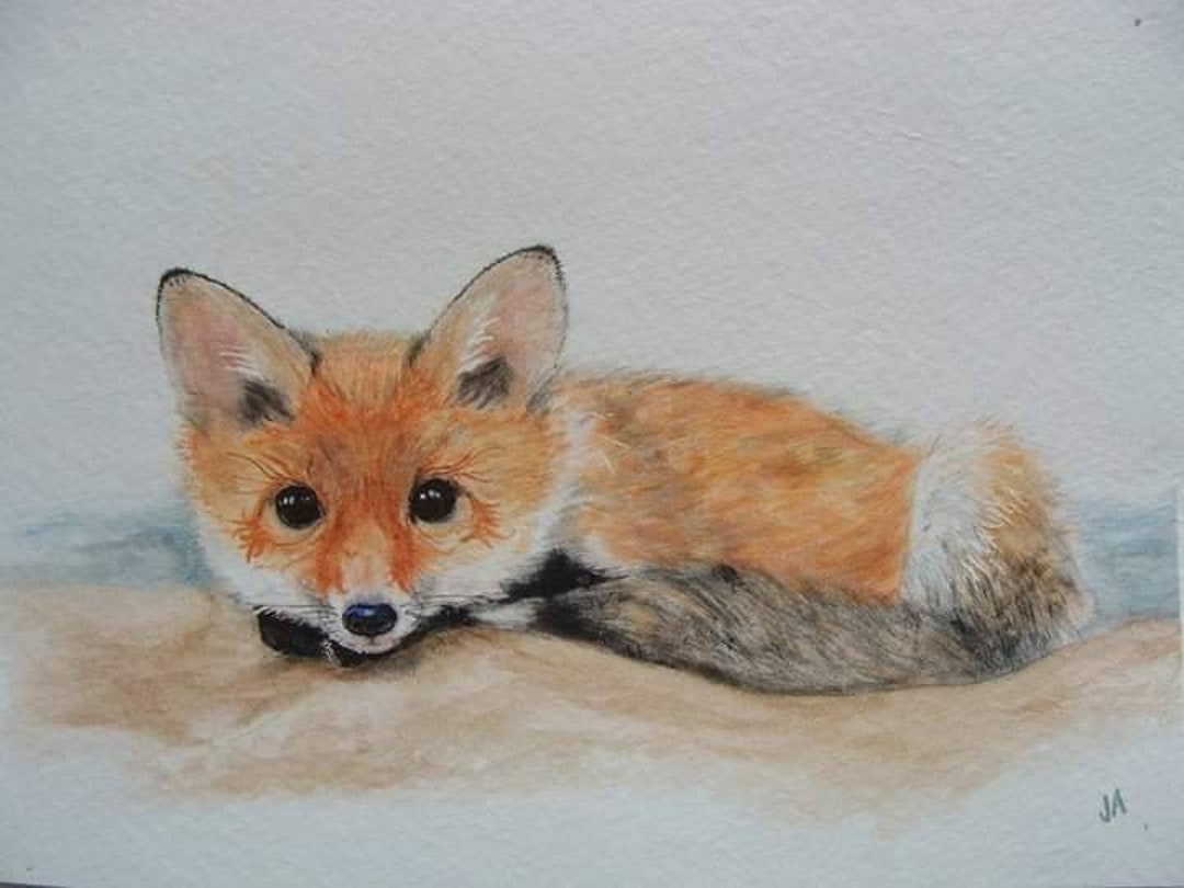 Fox With Chicory Paint-by-number Kit 8x10 