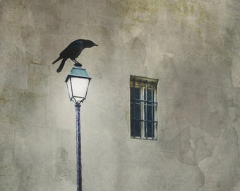 Title: "Free Bird" streets of France, raven on lamppost, painterly photography print, unique wall art with a story.